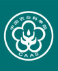 CAAS Logo