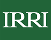 IRRI Logo