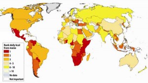 Figure 2. Relative rank of maize as a food crop worldwide Figure 2. Relative rank of maize as a food crop worldwide